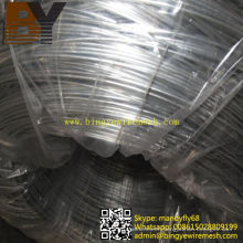 Hot-Dipped Galvanized Flate Wire for Vineyard